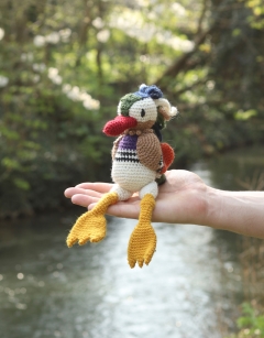 Pascal the Mandarin Duck 