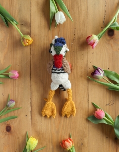 Pascal the Mandarin Duck 