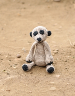 James the Meerkat