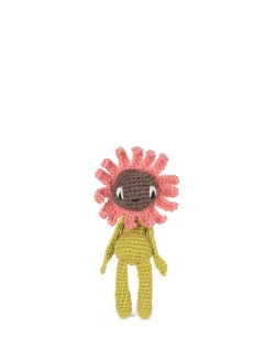 Mini Gerbera