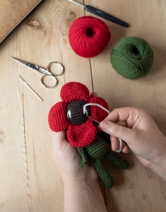 Mini Poppy
