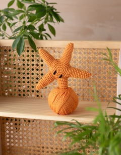 Mini Ringo the Starfish Kit