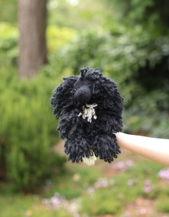 Ilana the Newfoundland