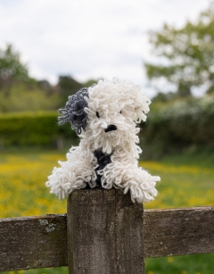 Samson the Old English Sheepdog