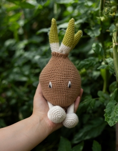 Onion