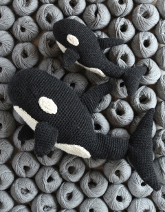 Florence the Orca