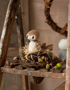 Barney the Barn Owl
