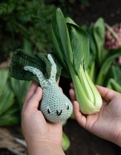 Pak Choi