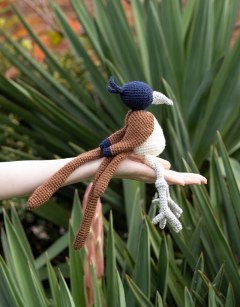 Raja the Indian Paradise Flycatcher