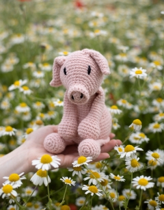 Richard the Pig Kit