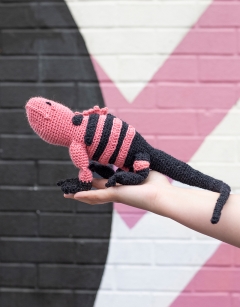 Fitzroy the Pink Land Iguana