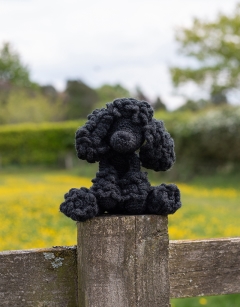 Millie the Poodle