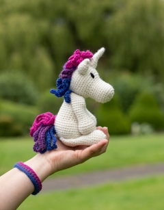 Rainbow Unicorn