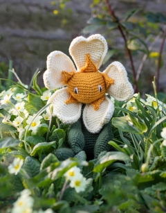 Primrose