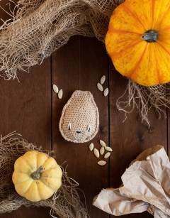 Pumpkin Seed