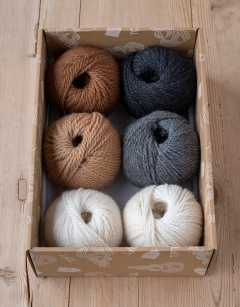 Puppy Discovery Box