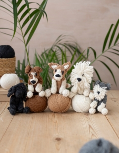 Puppy Discovery Box