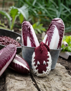 Radicchio