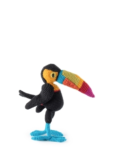 Isabella the Rainbow Toucan