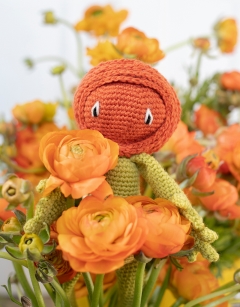 Ranunculus