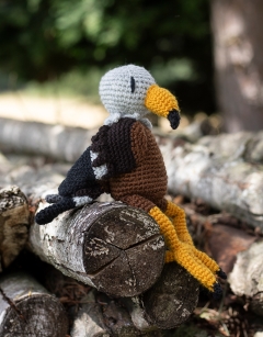 Glenn the Red Kite