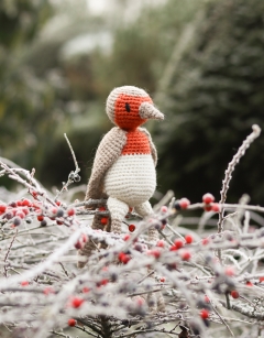 Robin the Robin