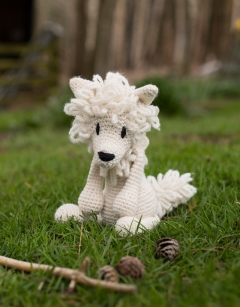 Angelina the Samoyed