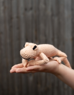 Cecil the Sand Gecko