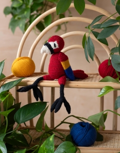 Elijah the Scarlet Macaw
