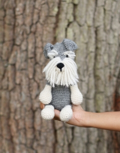 Romeo the Schnauzer