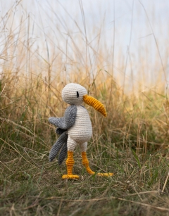 Dave the Gull