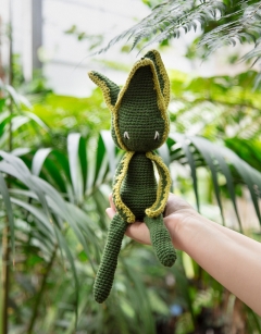 Sansevieria