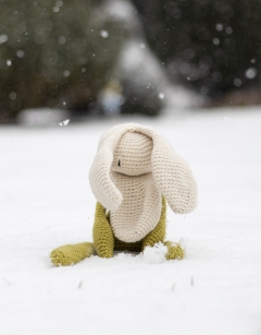 Snowdrop