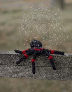Mini Tara the Tarantula
