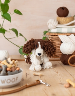 Len the Springer Spaniel