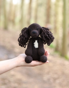 Larry the Sprocker