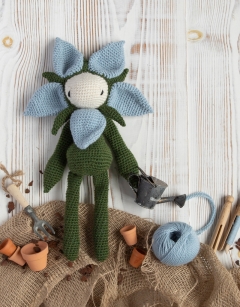 Starflower