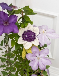 Summer Flower Bundle