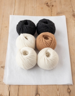 Dominic the Swaledale Sheep