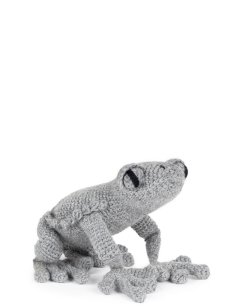 Coral the Toad
