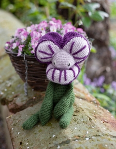 Violet