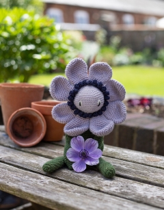 Anemone