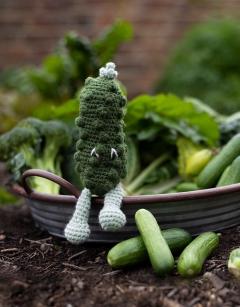 Baby Cucumber