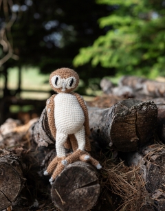 Barney the Barn Owl