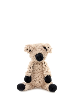 Barry the Woolly Pig
