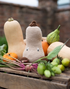 Butternut Squash