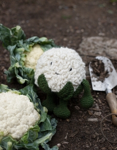 Cauliflower