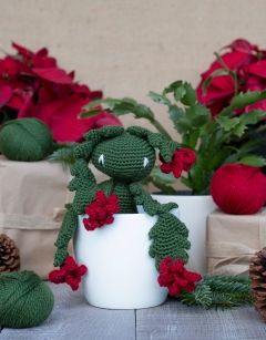 Christmas Cactus