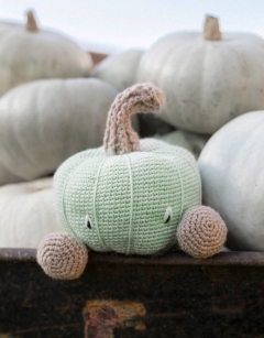 Crown Prince Pumpkin