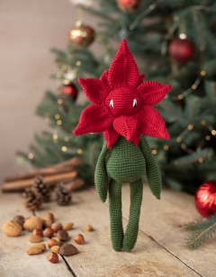Poinsettia